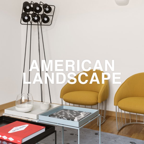 AMERICAN LANDSCAPE